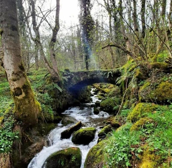 Mcastet, Casita Aranesa En El Valle De Aran ボソスト エクステリア 写真